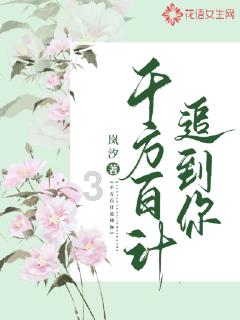 小猫钓鱼开船版最新版下载