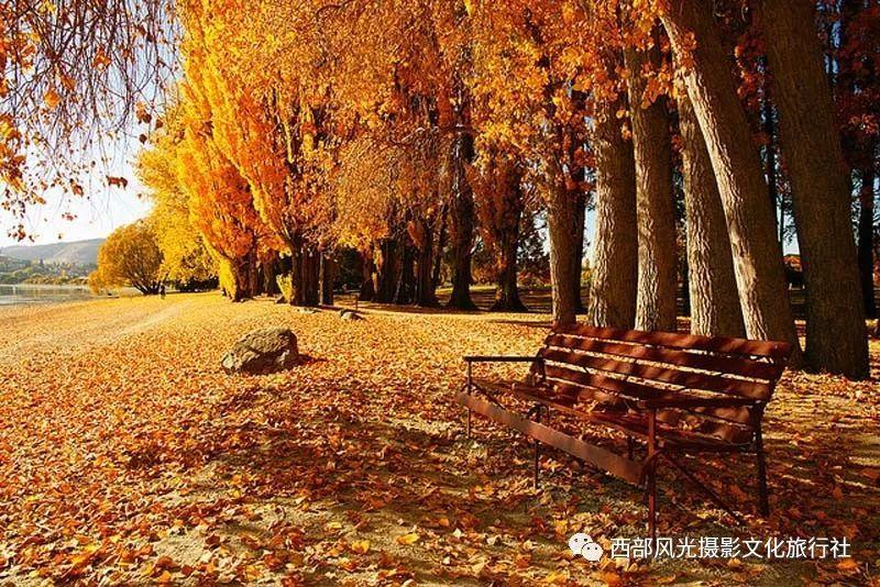 千年琴韵开启新年华章,我在商都等你