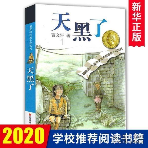 乡镇生活污水处理工程
