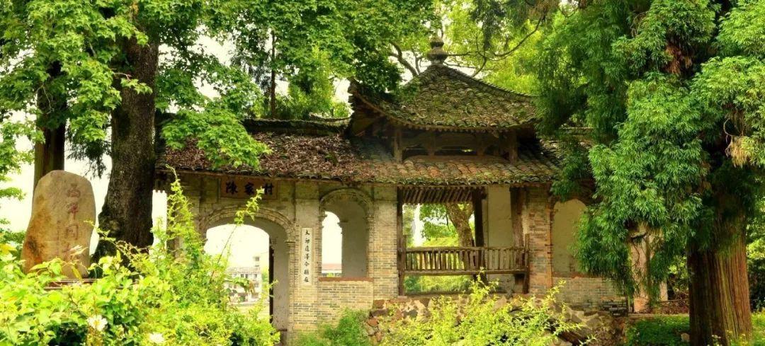 哈尔滨回应打造“NorthEast”羽绒服品牌建议：精辟独到，认真吸纳