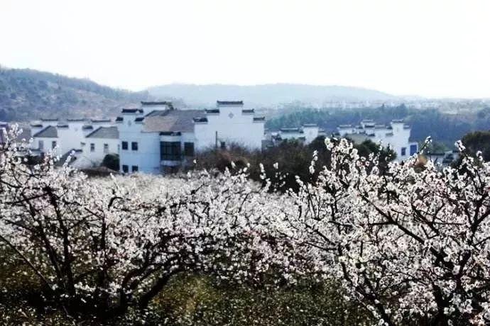水疗中心