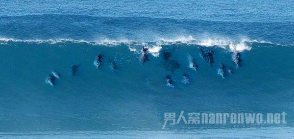 1月对抗路T度排行,孙策惨遭削弱威风不在,姬小满成唯一T0.5
