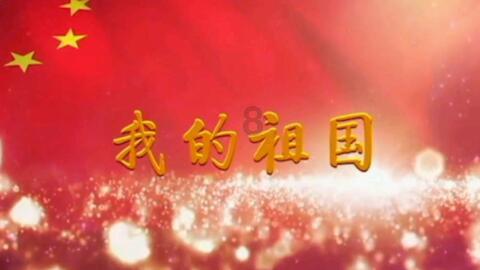 什么变速箱最好游戏画面