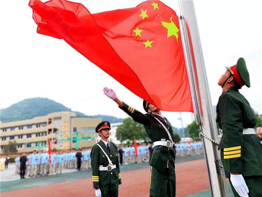 救援达尔马提亚狗