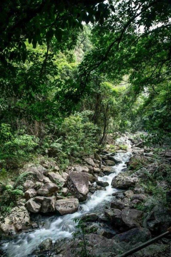 《大江大河3》杨巡搞促销赚了三千多万，为什么对外要宣布亏损？