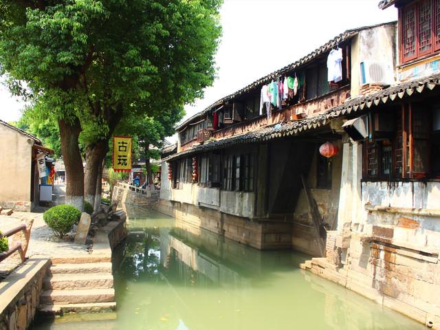 五彩鹦鹉救援